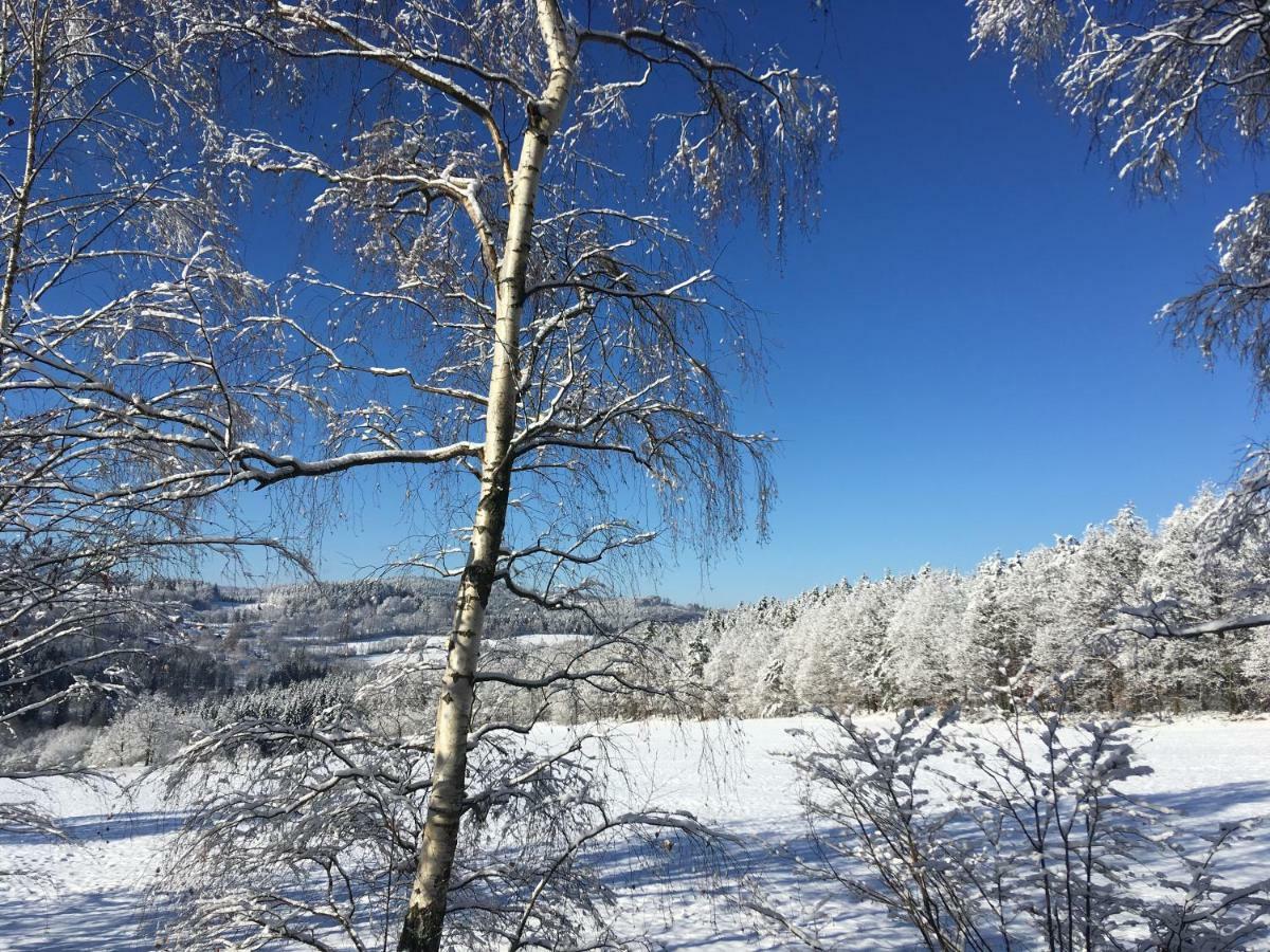 Apartman Na Vrsku Klenovice  Buitenkant foto