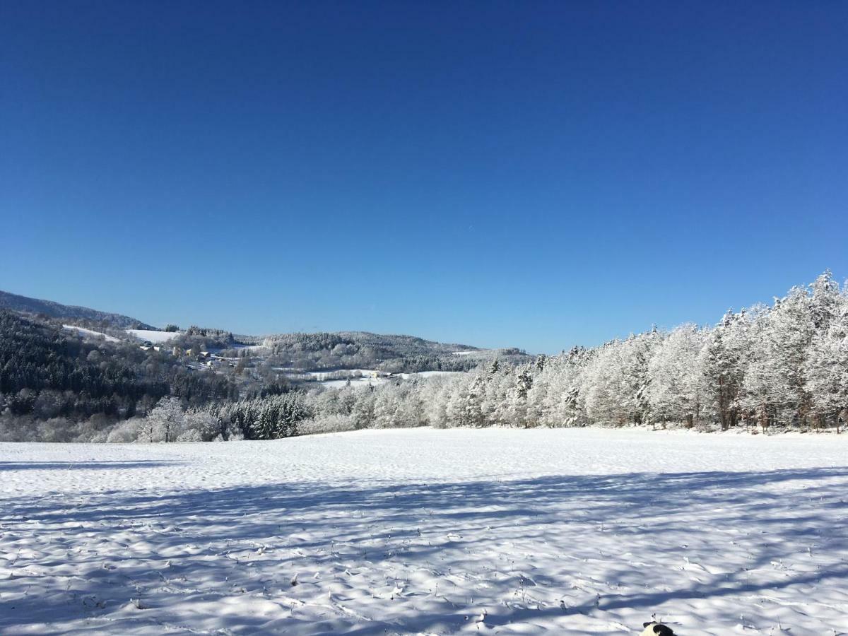 Apartman Na Vrsku Klenovice  Buitenkant foto