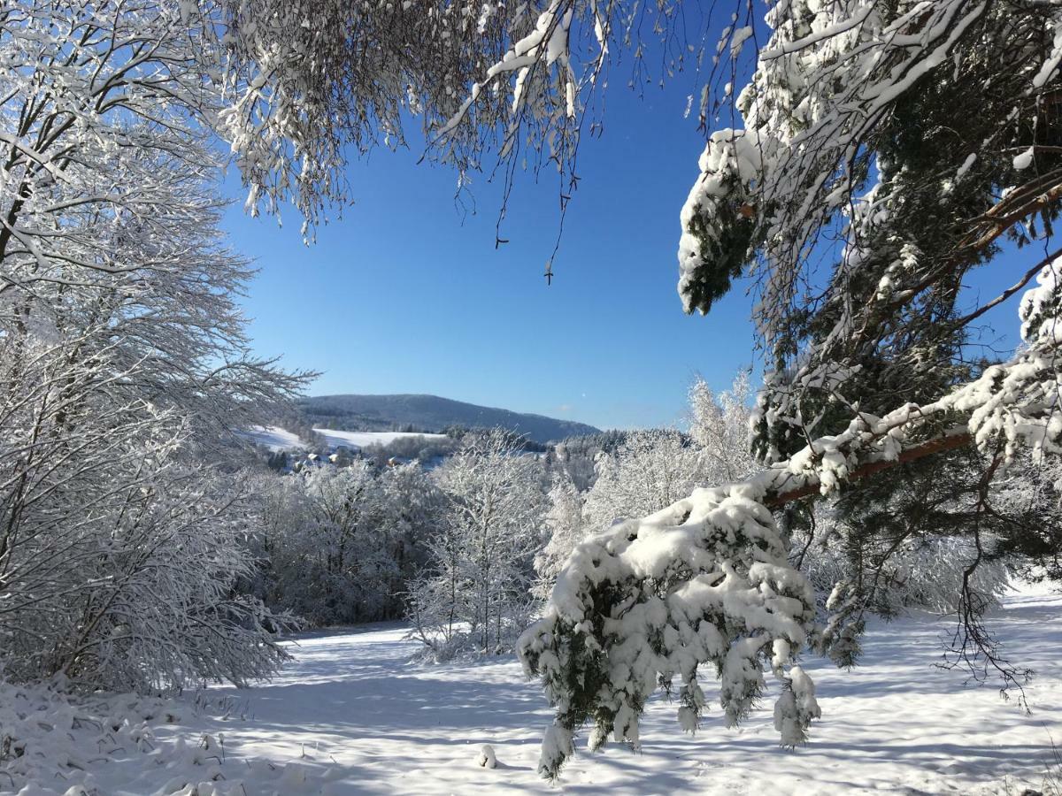 Apartman Na Vrsku Klenovice  Buitenkant foto